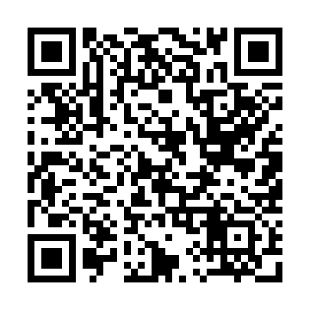 QR code for 195333