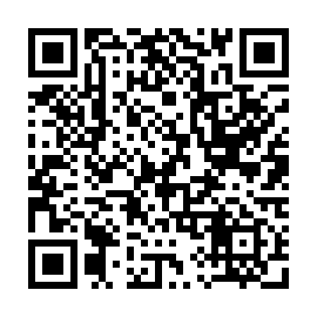 QR code for 196119