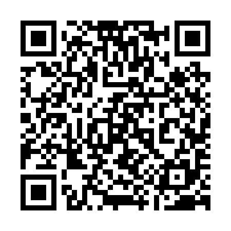 QR code for 196295