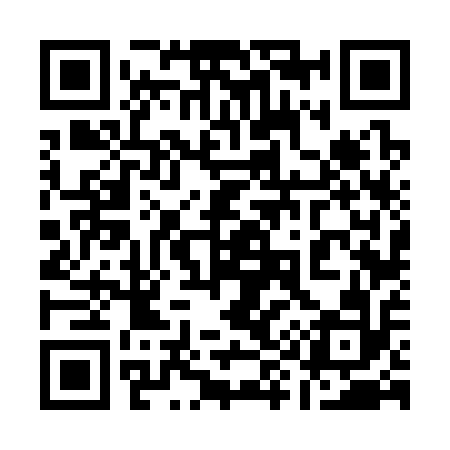 QR code for 196312