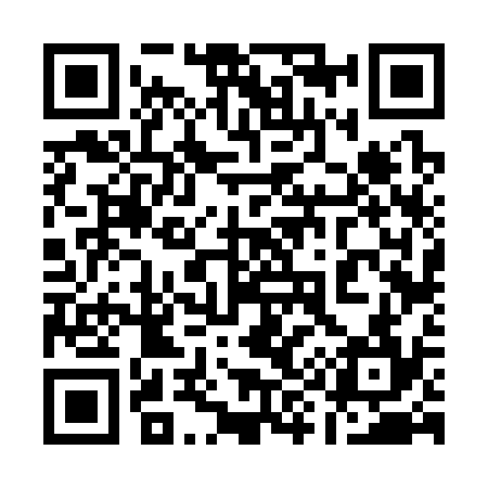 QR code for 196334