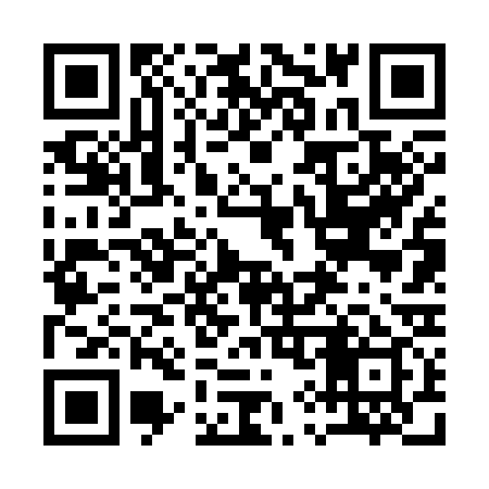 QR code for 196339