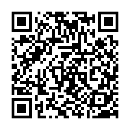 QR code for 196368