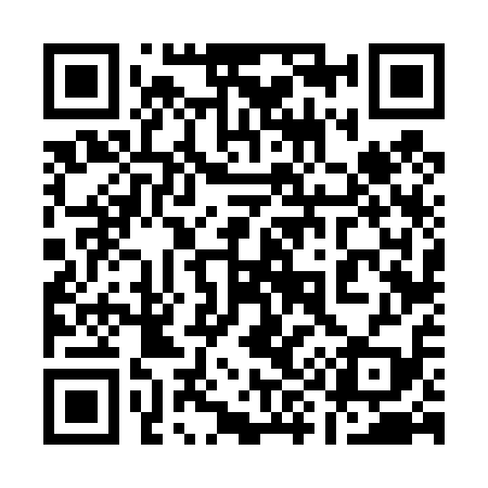 QR code for 196419