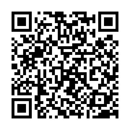 QR code for 196529