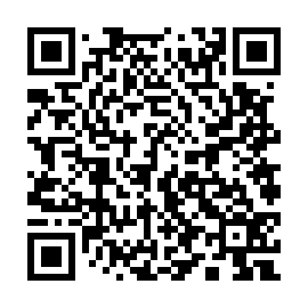 QR code for 196536