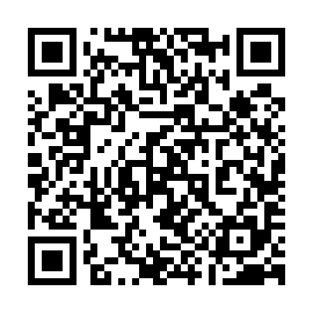 QR code for 196595