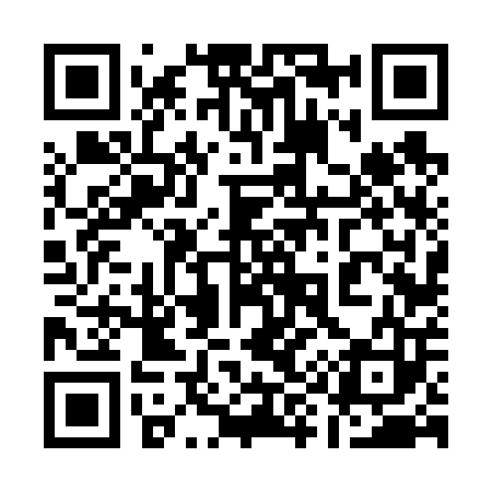 QR code for 196603