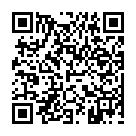 QR code for 196607