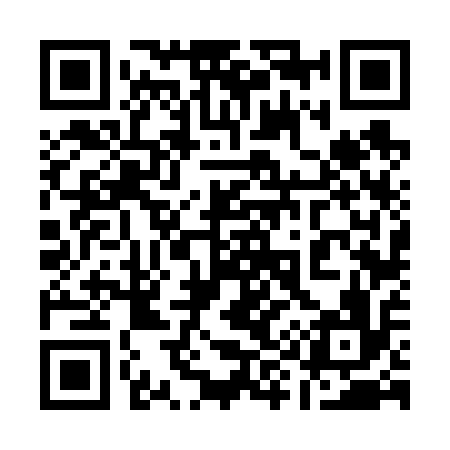 QR code for 196616