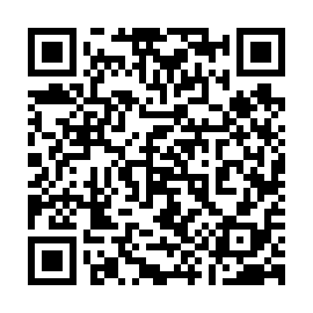 QR code for 196618