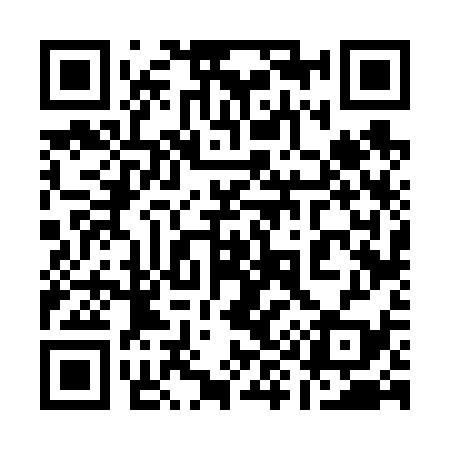 QR code for 196639