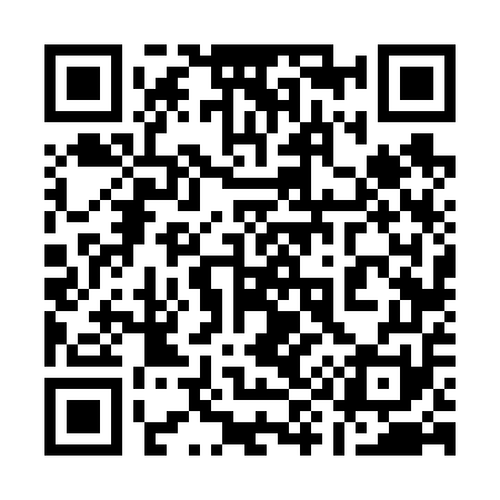 QR code for 196651