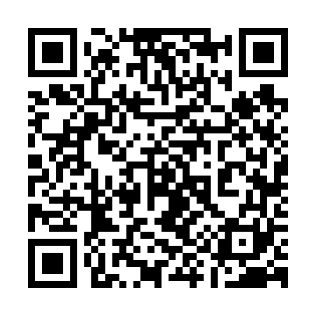 QR code for 196661