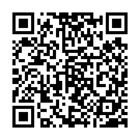 QR code for 196668