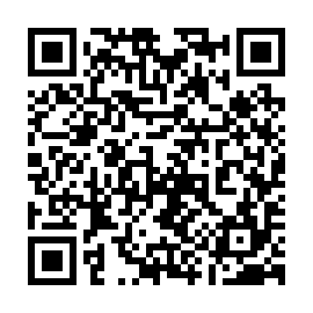 QR code for 197294