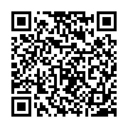 QR code for 197333