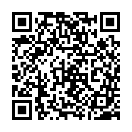 QR code for 199343