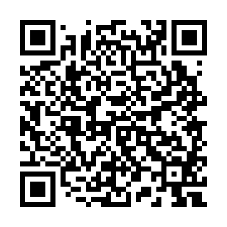 QR code for 200384