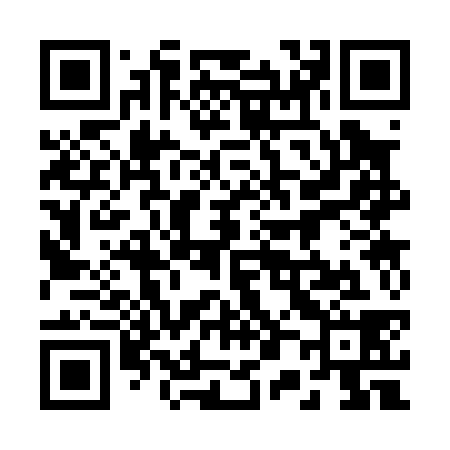 QR code for 203038