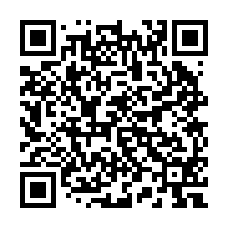 QR code for 203294