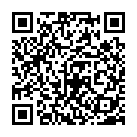 QR code for 203379