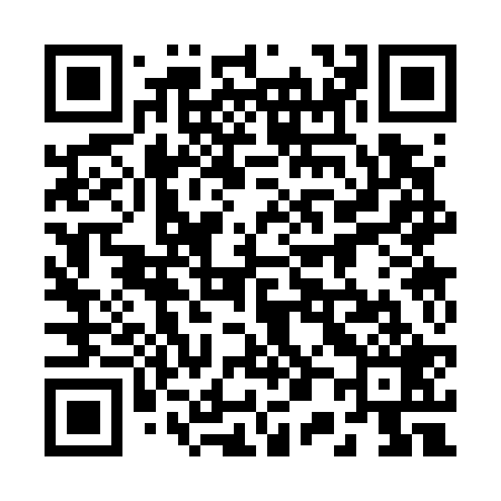 QR code for 203729