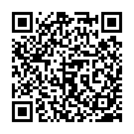 QR code for 203781