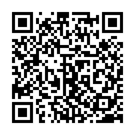 QR code for 203878