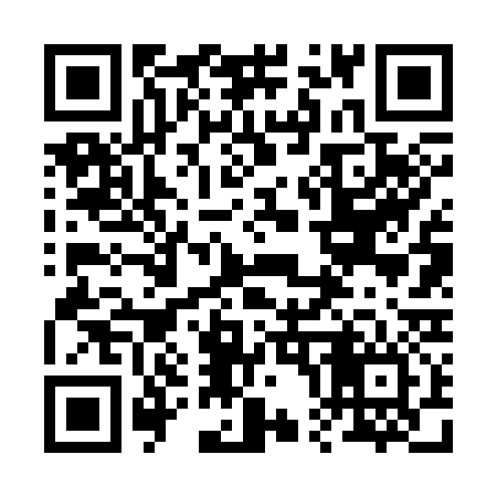 QR code for 206336