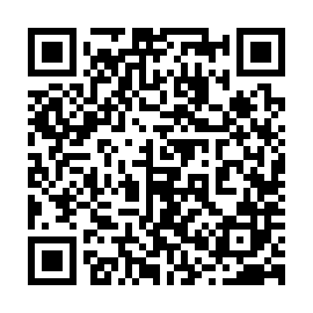 QR code for 206382