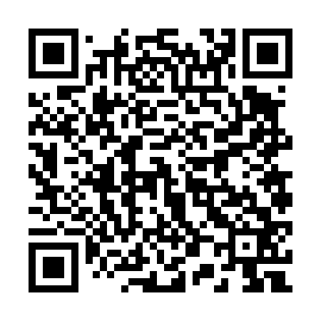 QR code for 206462