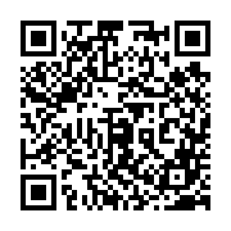 QR code for 206646