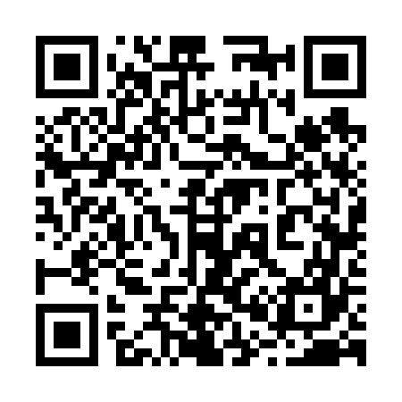 QR code for 206667