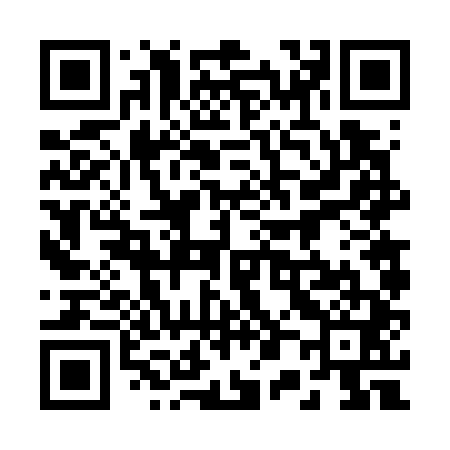 QR code for 206741