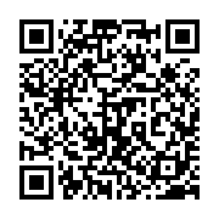 QR code for 206991