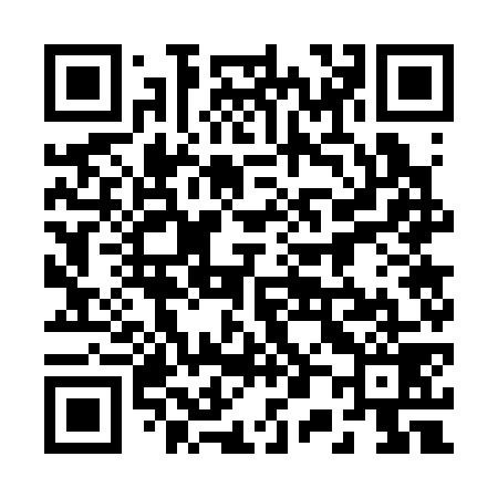 QR code for 207379