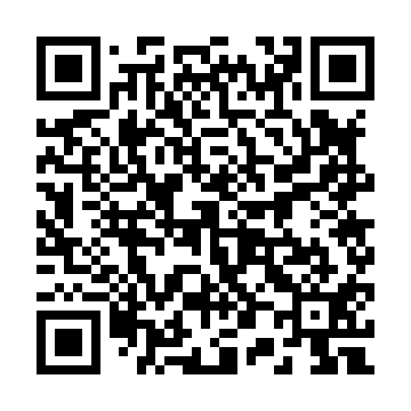 QR code for 207811