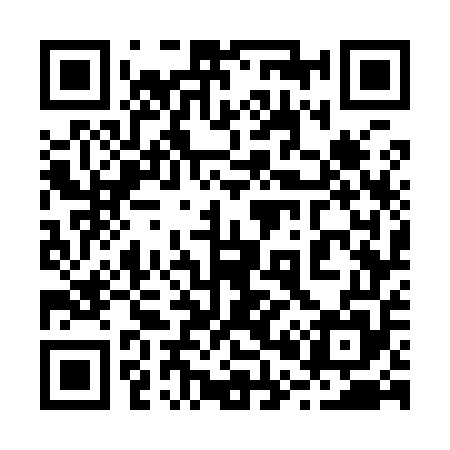 QR code for 207955