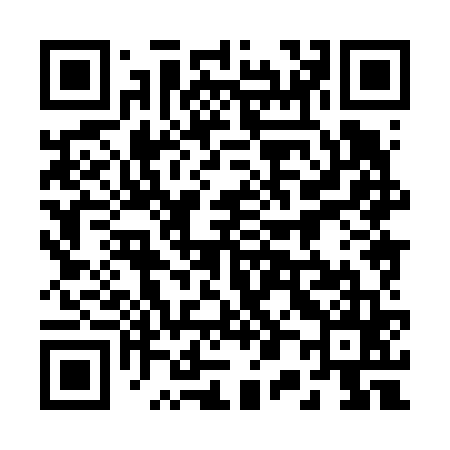 QR code for 208665