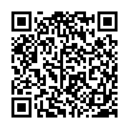 QR code for 211333