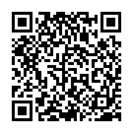 QR code for 213313