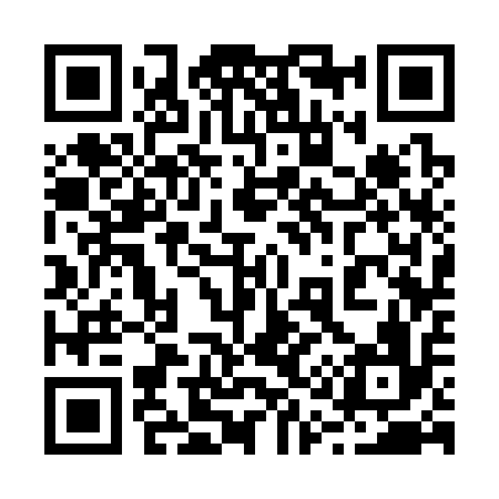 QR code for 213316