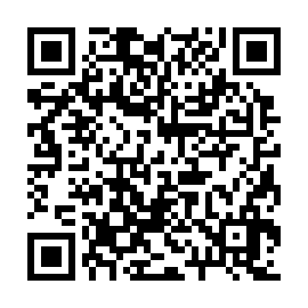 QR code for 213336