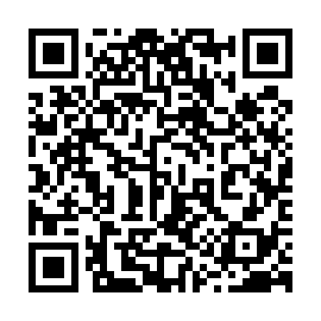 QR code for 213538