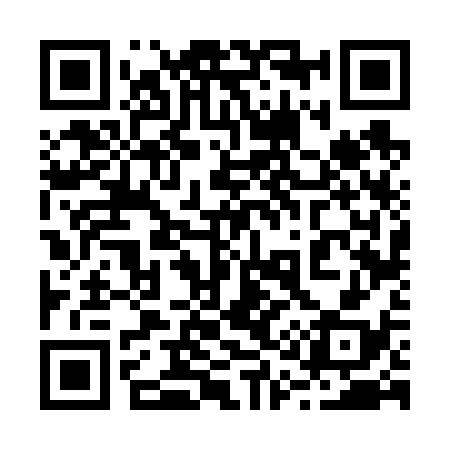 QR code for 216638