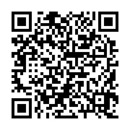QR code for 219384