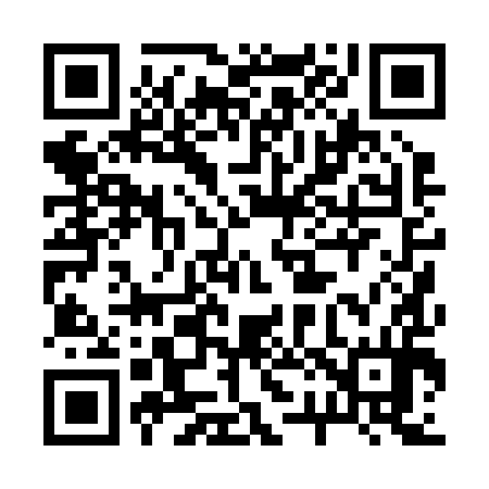 QR code for 220294
