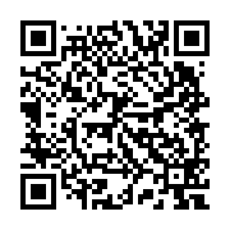 QR code for 220699