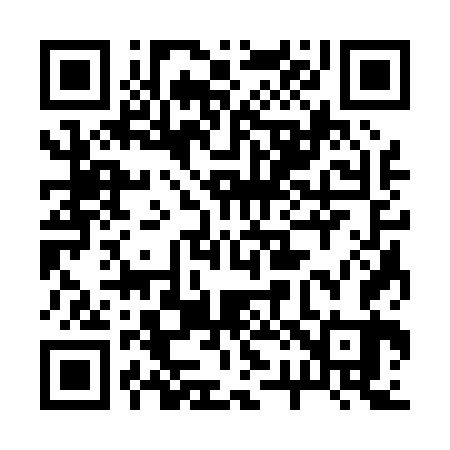 QR code for 223063